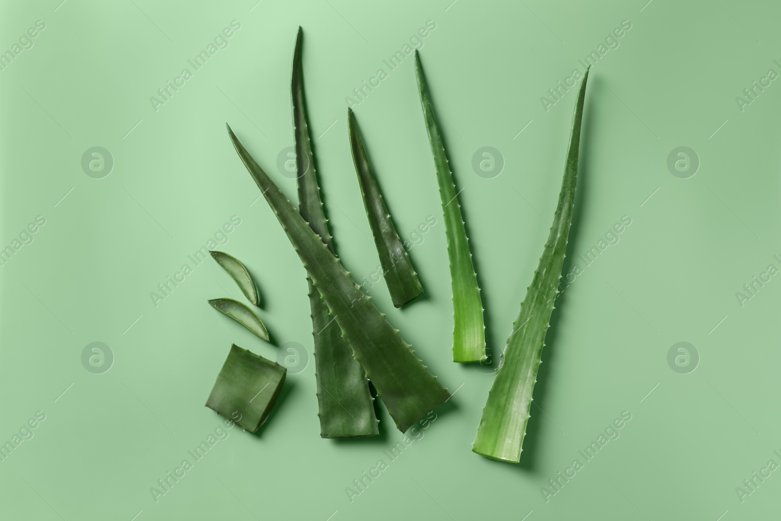 Photo of Cut aloe vera plant on light green background, flat lay