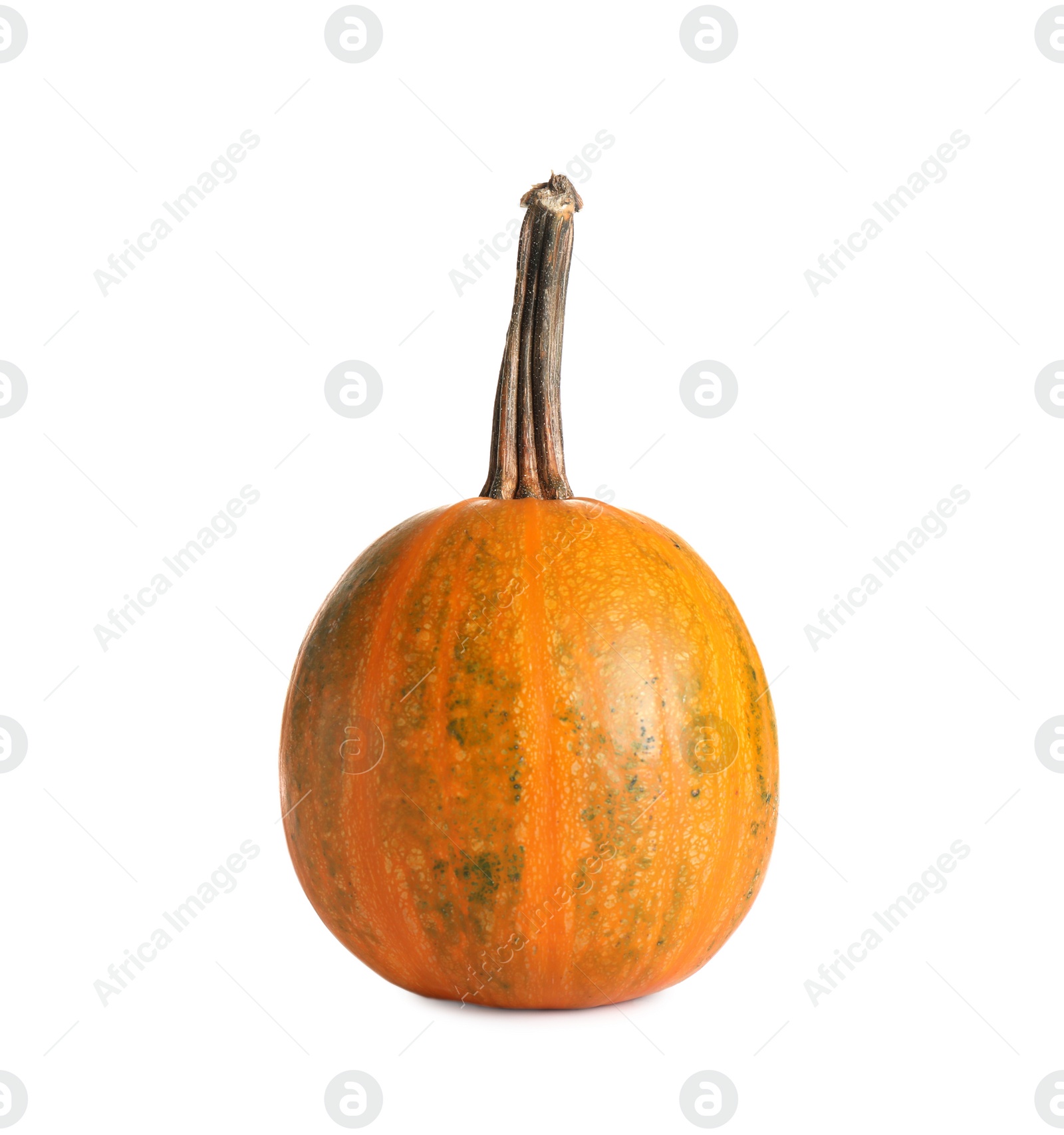 Photo of Fresh raw pumpkin isolated on white. Organic plant