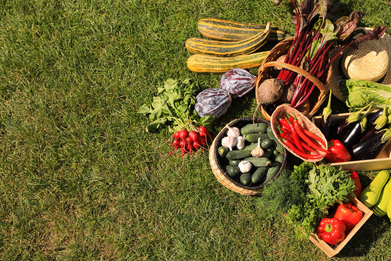 Photo of Different fresh ripe vegetables on green grass, flat lay. Space for text