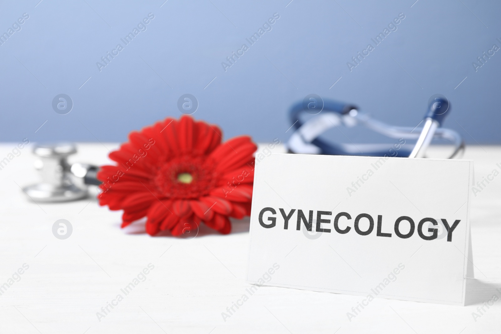 Photo of Card with word Gynecology, stethoscope and flower on table