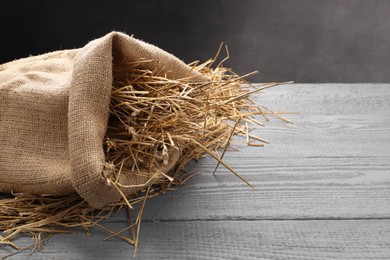 Dried straw in burlap sack on grey wooden table, space for text