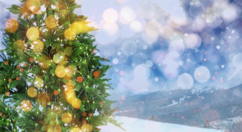 Image of Beautiful Christmas tree outdoors, space for text. Banner design