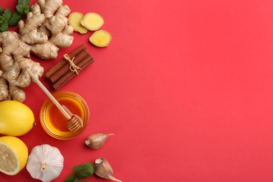Photo of Flat lay composition with different natural antibiotics on red background, space for text