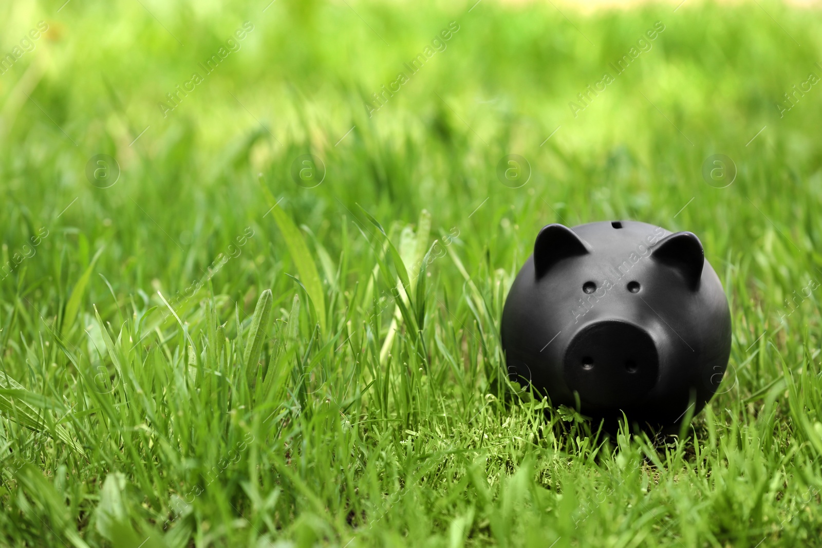 Photo of Black piggy bank in green grass outdoors. Space for text