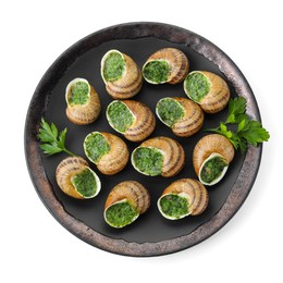 Photo of Delicious cooked snails with parsley isolated on white, top view