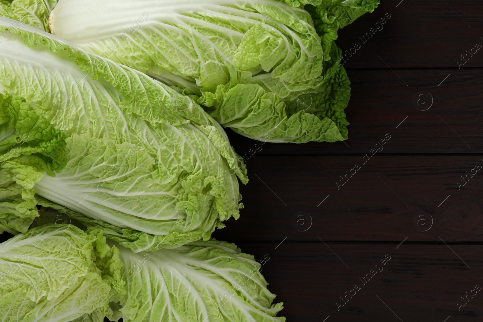 Photo of Fresh ripe Chinese cabbages on dark wooden table, fat lay. Space for text