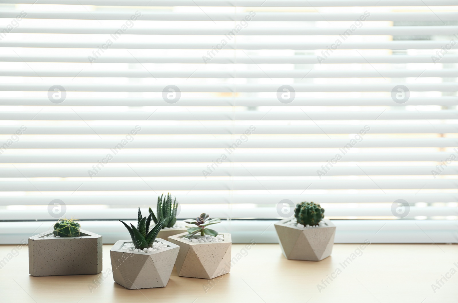 Photo of Window with blinds and potted plants on sill, space for text