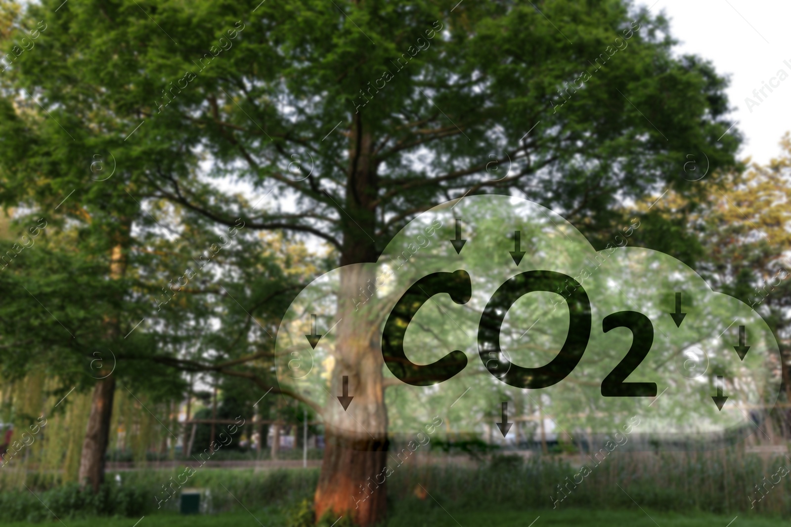 Image of Reduce CO2 emissions. Illustration of cloud with CO2 inscription, arrows and beautiful park