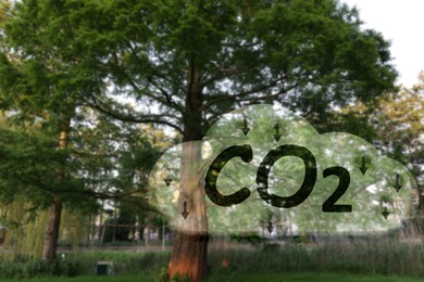 Image of Reduce CO2 emissions. Illustration of cloud with CO2 inscription, arrows and beautiful park