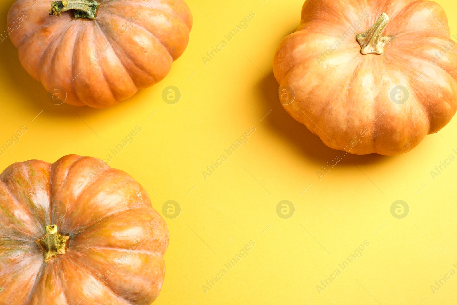 Photo of Fresh ripe pumpkins on yellow background, flat lay. Holiday decoration