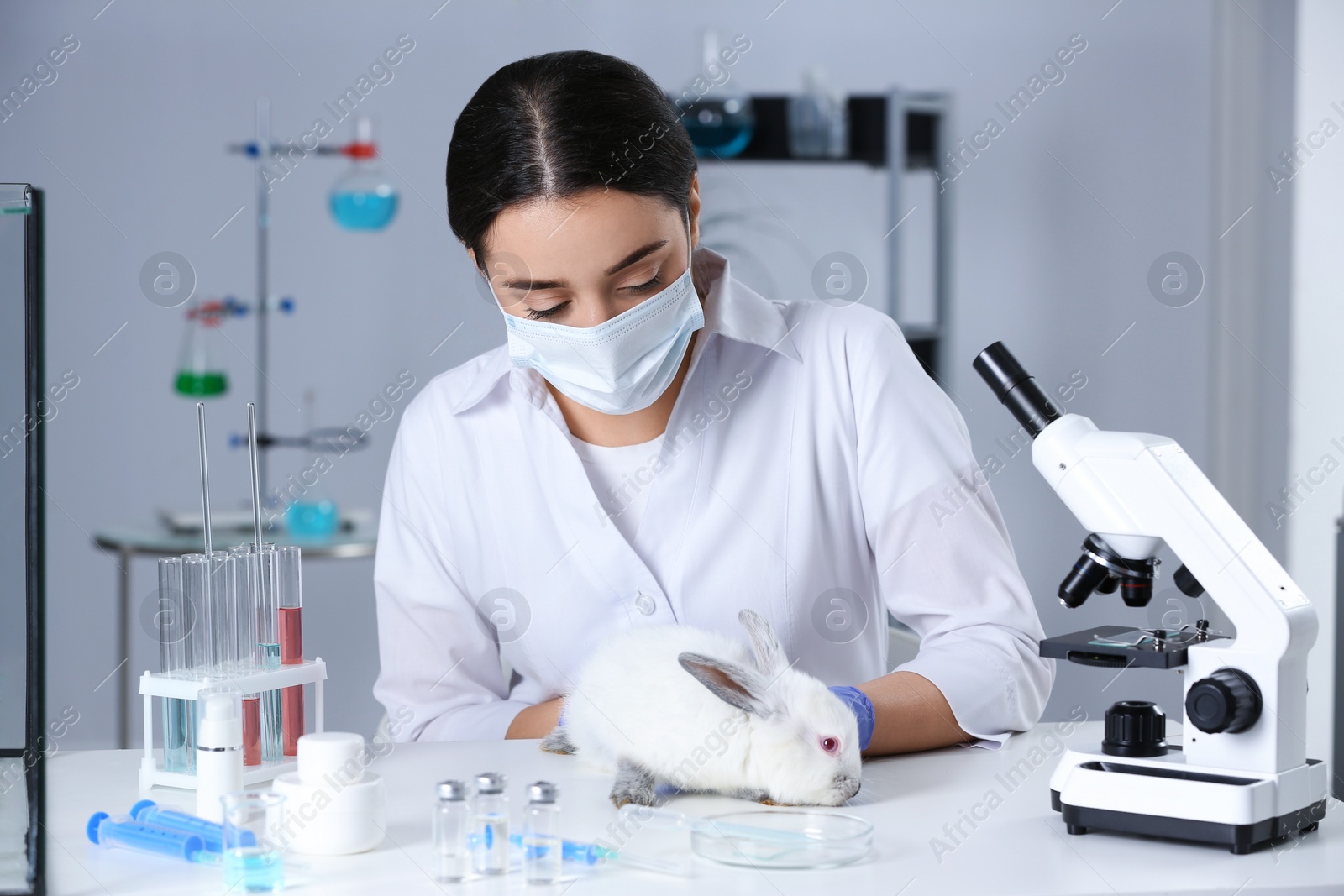 Photo of Scientist working with rabbit in chemical laboratory. Animal testing