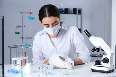 Scientist working with rabbit in chemical laboratory. Animal testing