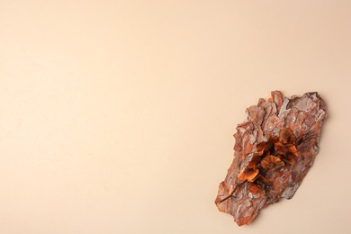 Photo of Tree bark piece with lichen mushrooms on beige background, top view. Space for text