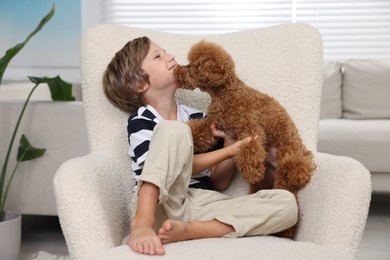Photo of Little child with cute puppy in armchair at home. Lovely pet