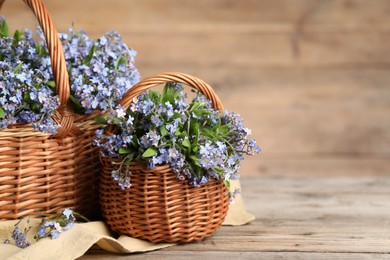 Photo of Beautiful forget-me-not flowers in wicker baskets on wooden table, closeup. Space for text