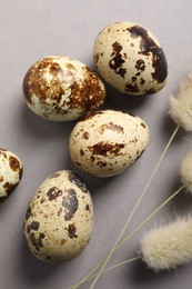 Speckled quail eggs and dry flowers on light grey background, above view