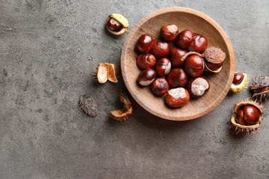 Photo of Horse chestnuts in wooden plate on grey table, flat lay. Space for text