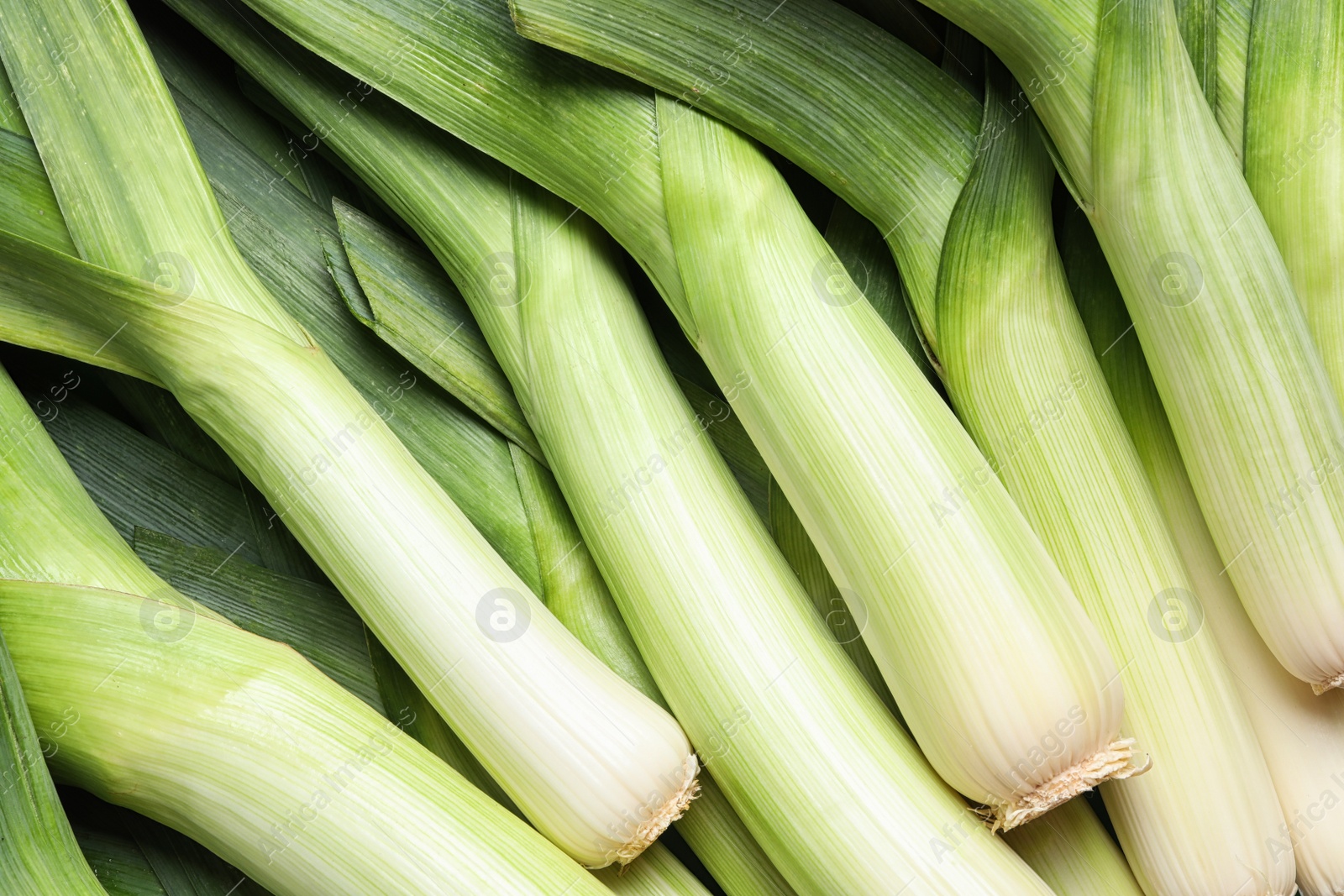 Photo of Fresh raw leeks as background, closeup. Ripe onion