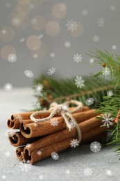 Image of Cinnamon and fire tree branches on grey table, closeup. Space for text