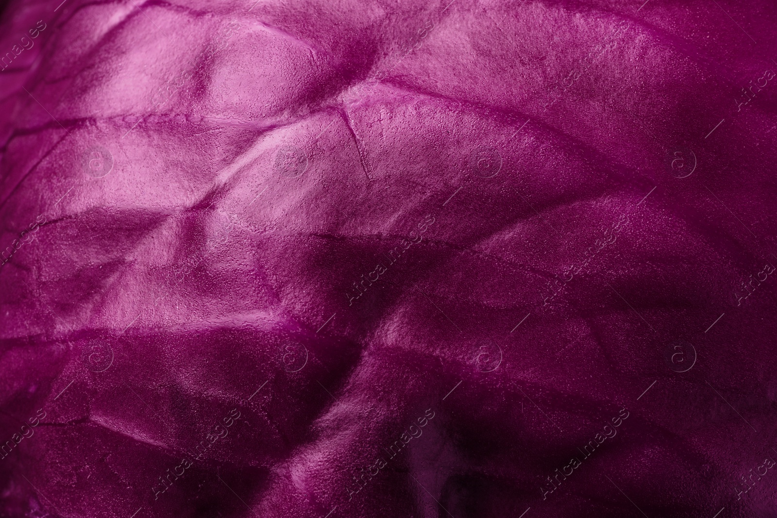 Photo of Fresh ripe red cabbage as background, closeup