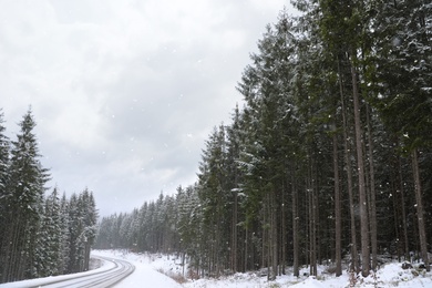 Beautiful landscape with conifer forest and road on snowy winter day