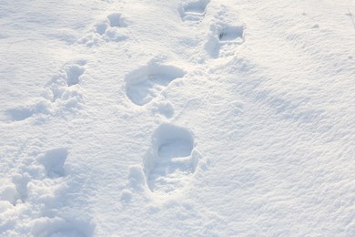 Photo of Footprints on white snow outdoors. Winter season