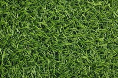 Green artificial grass as background, top view