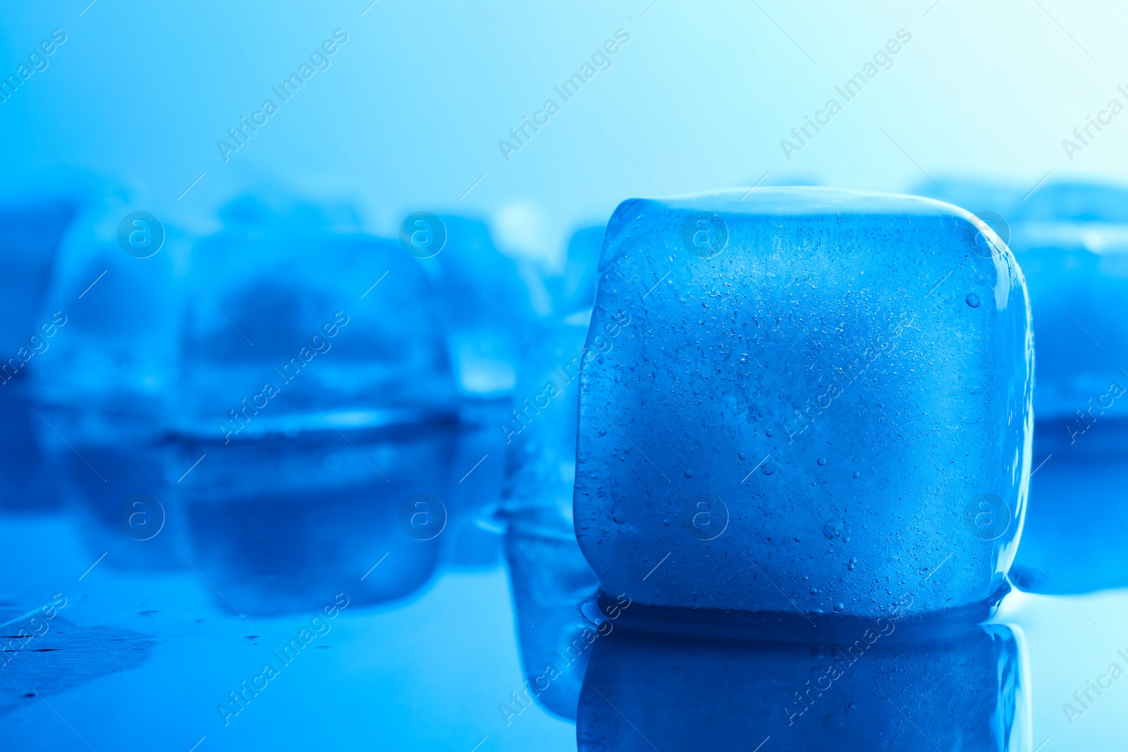 Photo of Crystal clear ice cubes on light blue background, closeup. Color tone effect