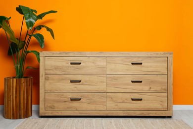 Photo of New wooden chest of drawers and beautiful plant near orange wall indoors