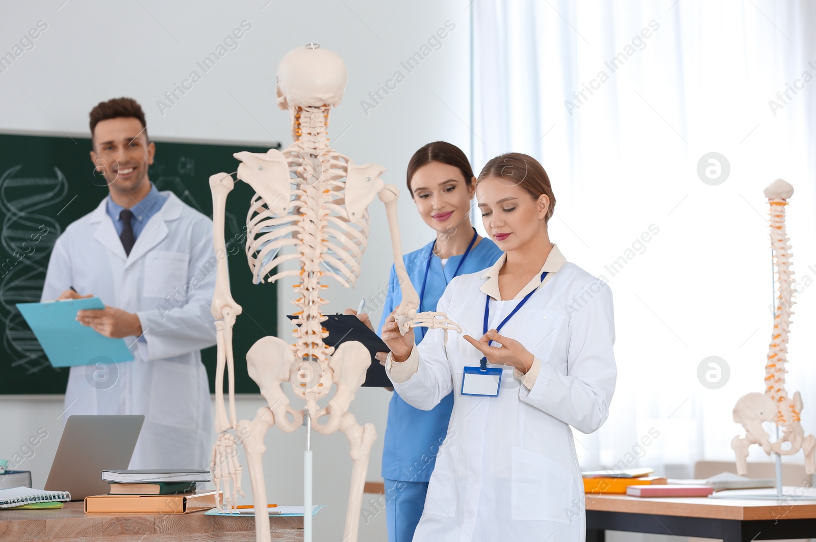 Photo of Medical students studying human skeleton anatomy in classroom