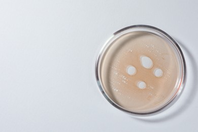 Photo of Petri dish with beige liquid on white background, top view. Space for text