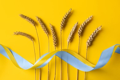 Photo of Ears of wheat and colorful ribbons on yellow background, flat lay