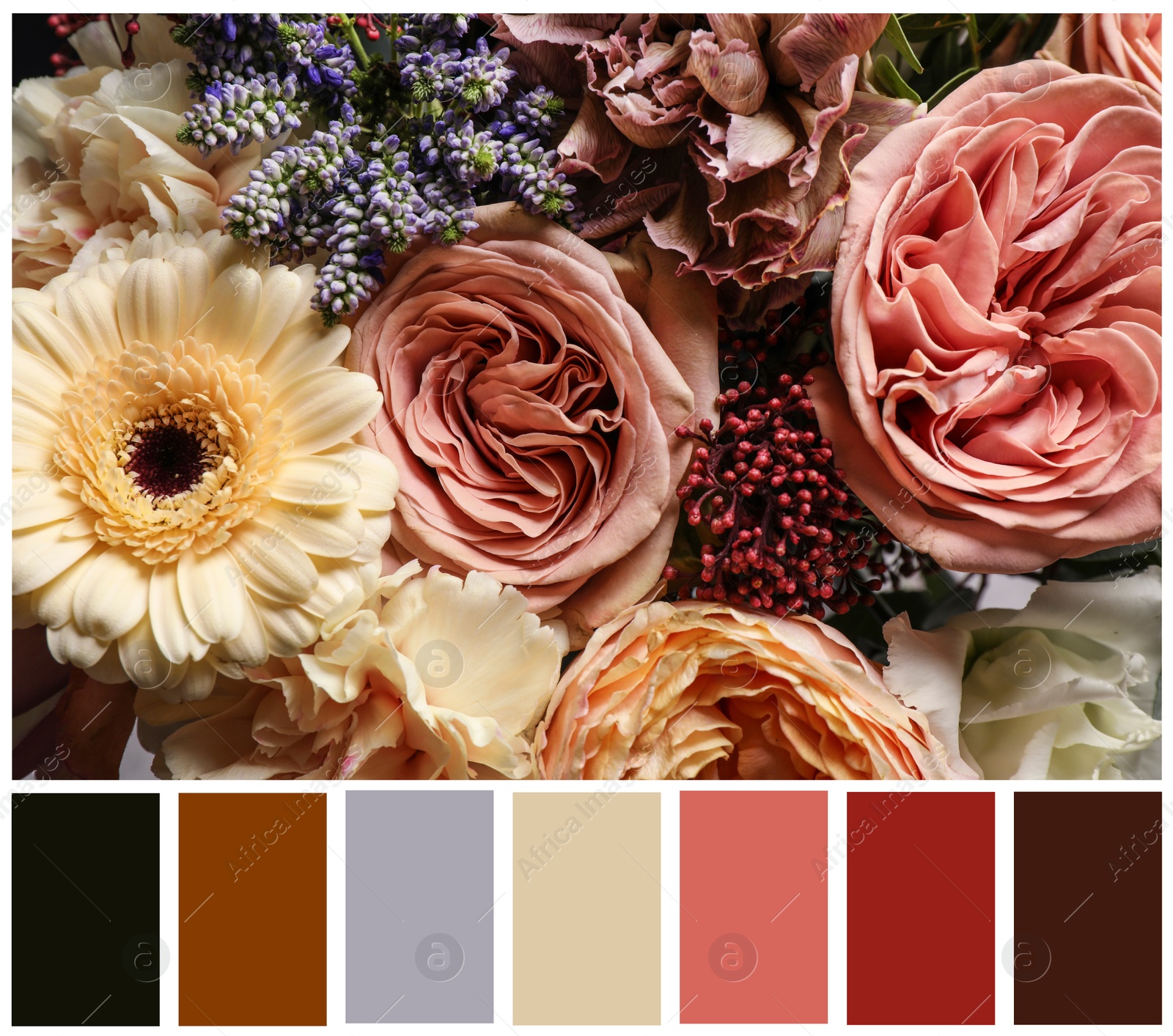 Image of Beautiful fresh flowers and color palette. Collage