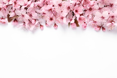 Photo of Beautiful spring tree blossoms as border on white background, top view. Space for text