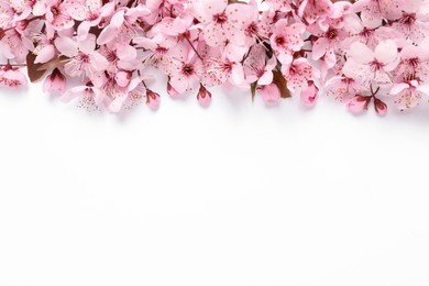 Beautiful spring tree blossoms as border on white background, top view. Space for text