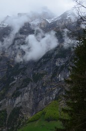 Photo of Picturesque view of mountains with forest covered by mist