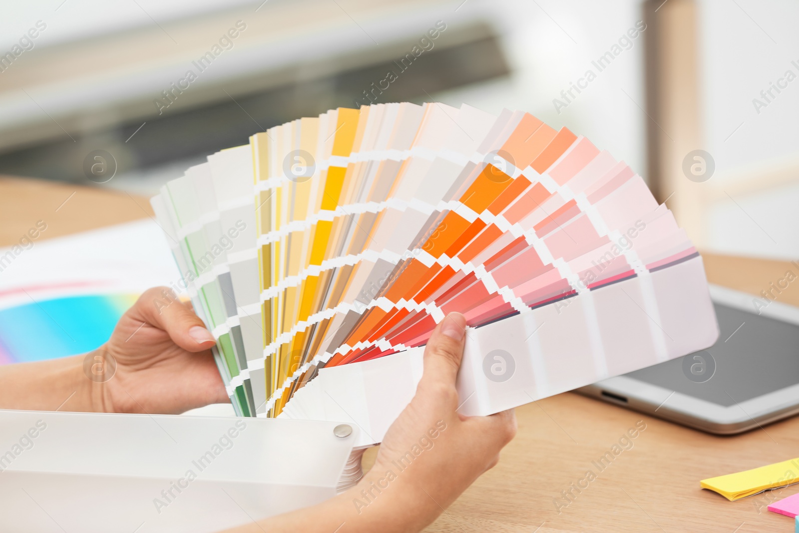 Photo of Designer with paint color palette samples at table, closeup