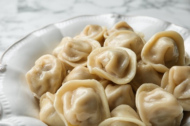 Tasty dumplings in ceramic plate, closeup view