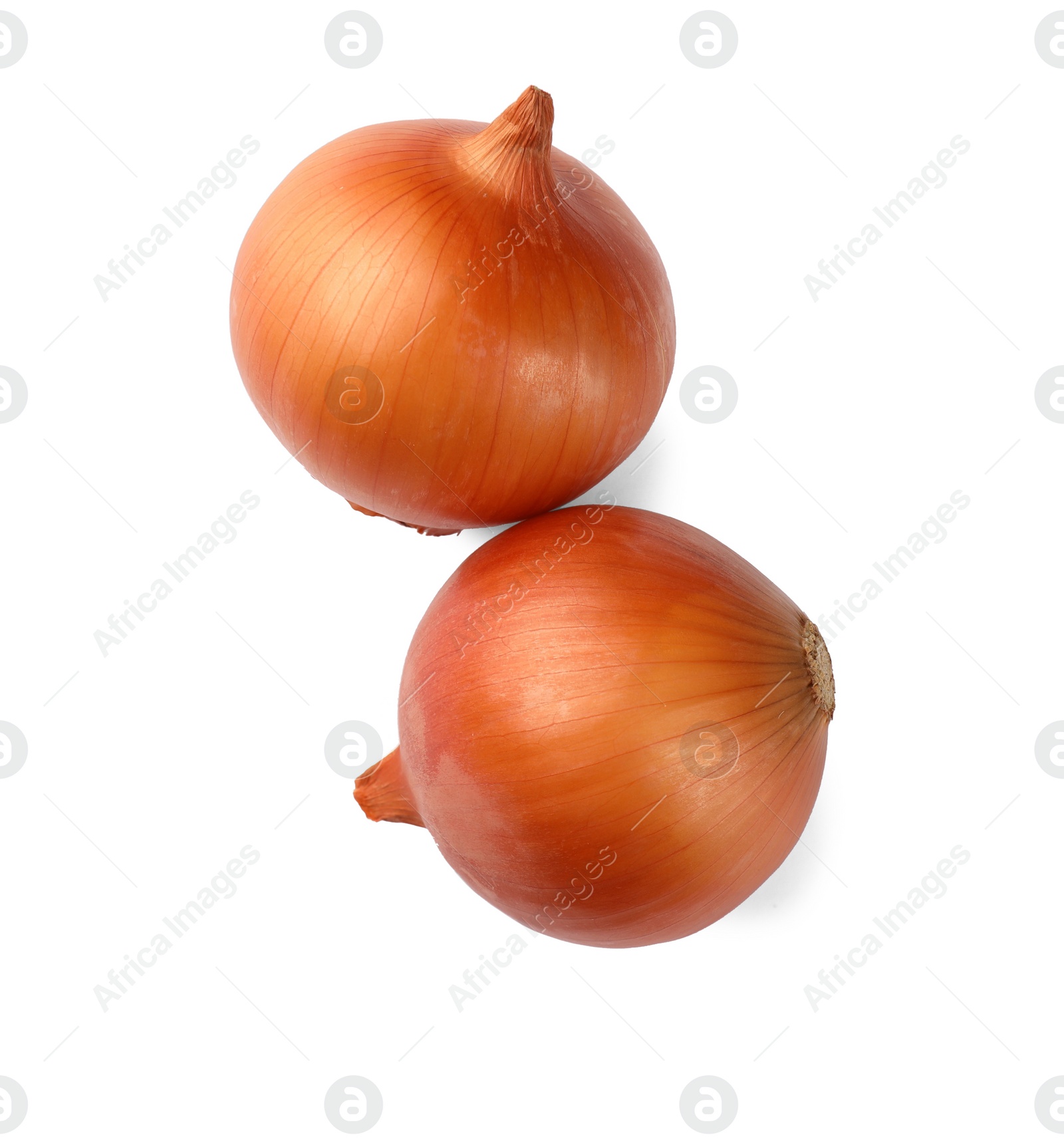 Photo of Two fresh onions on white background, top view