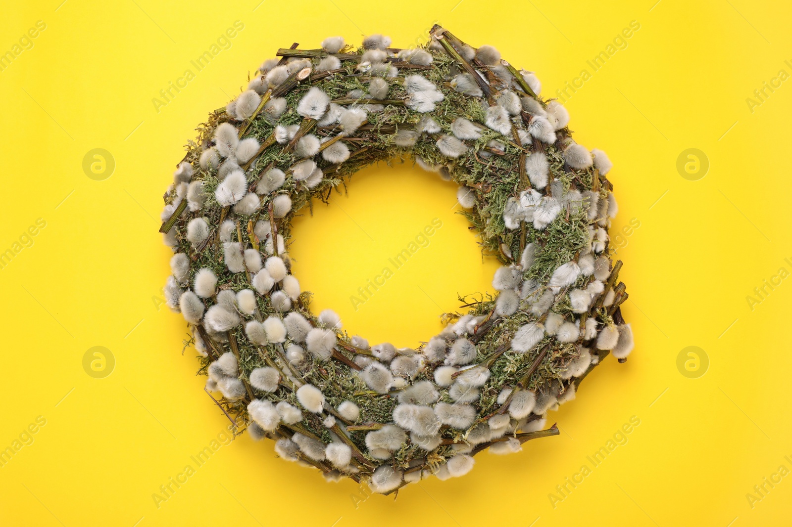 Photo of Wreath made of beautiful willow flowers on yellow background, top view. Space for text