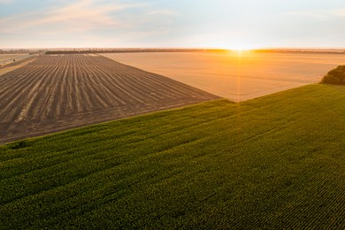 Image of Aerial view of agricultural field at sunrise