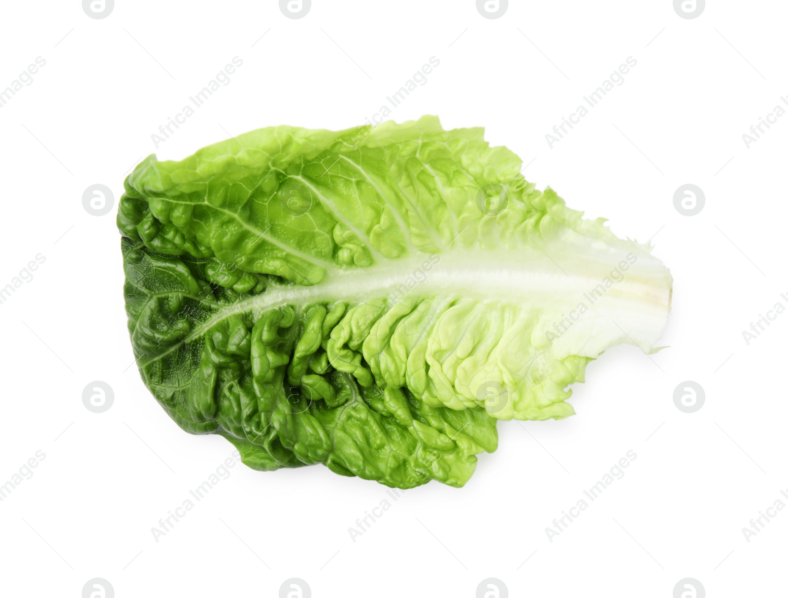 Photo of Fresh green leaf of romaine lettuce isolated on white, top view