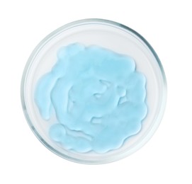 Photo of Petri dish with light blue liquid isolated on white, top view