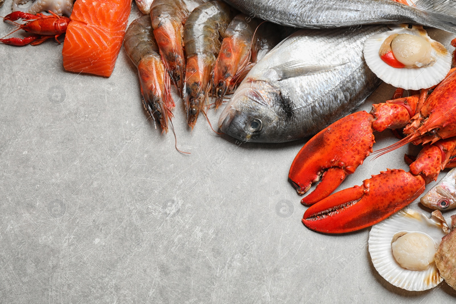 Photo of Fresh fish and seafood on marble table, flat lay. Space for text