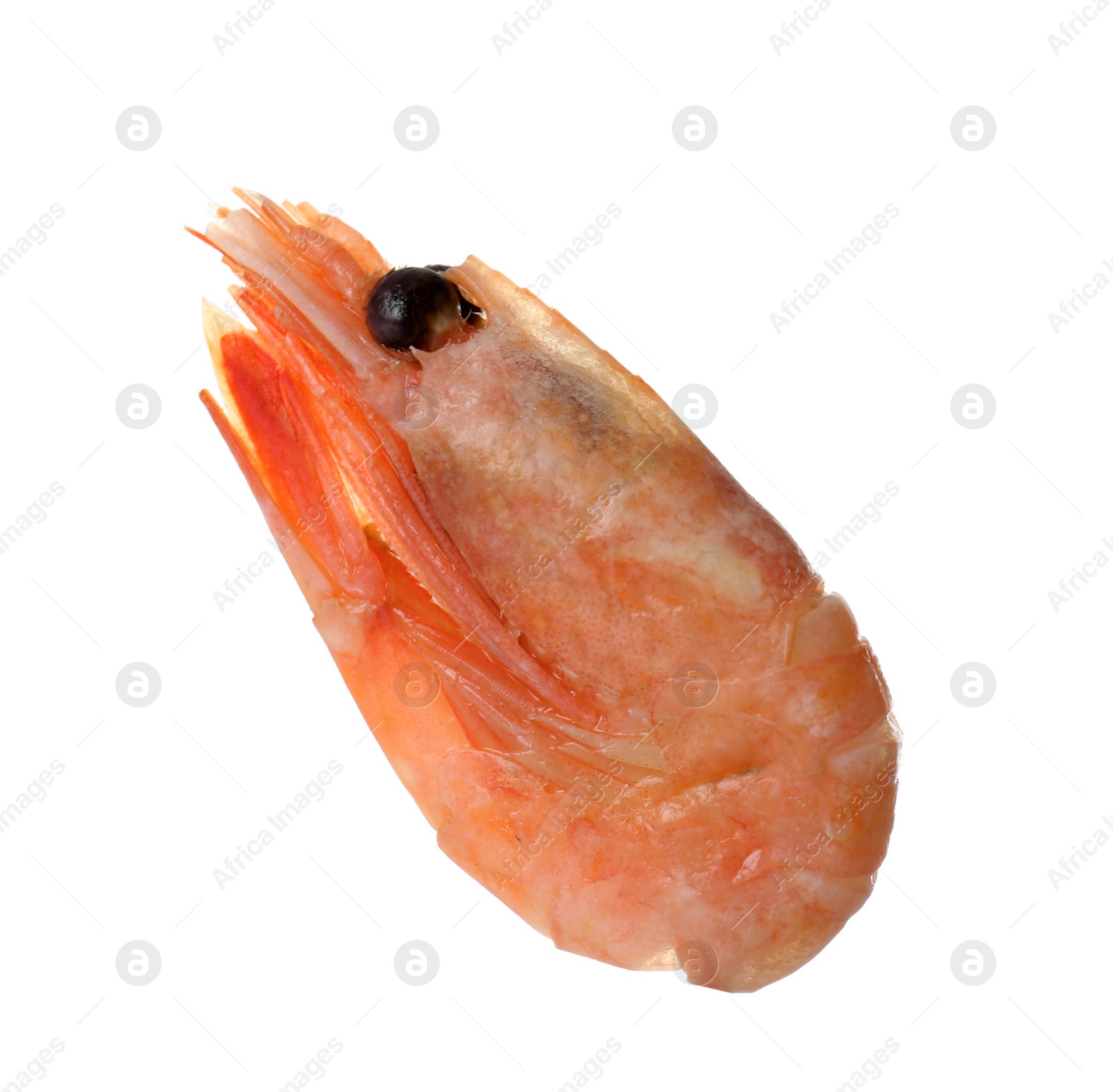 Photo of Raw shrimp on white background. Fresh seafood