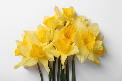Photo of Beautiful yellow daffodils on white background, top view