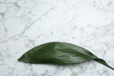 Leaf of tropical aspidistra plant on marble background, top view with space for text