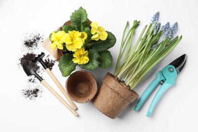 Composition with gardening equipment on white background, top view