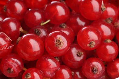 Photo of Many tasty fresh red currants as background, closeup