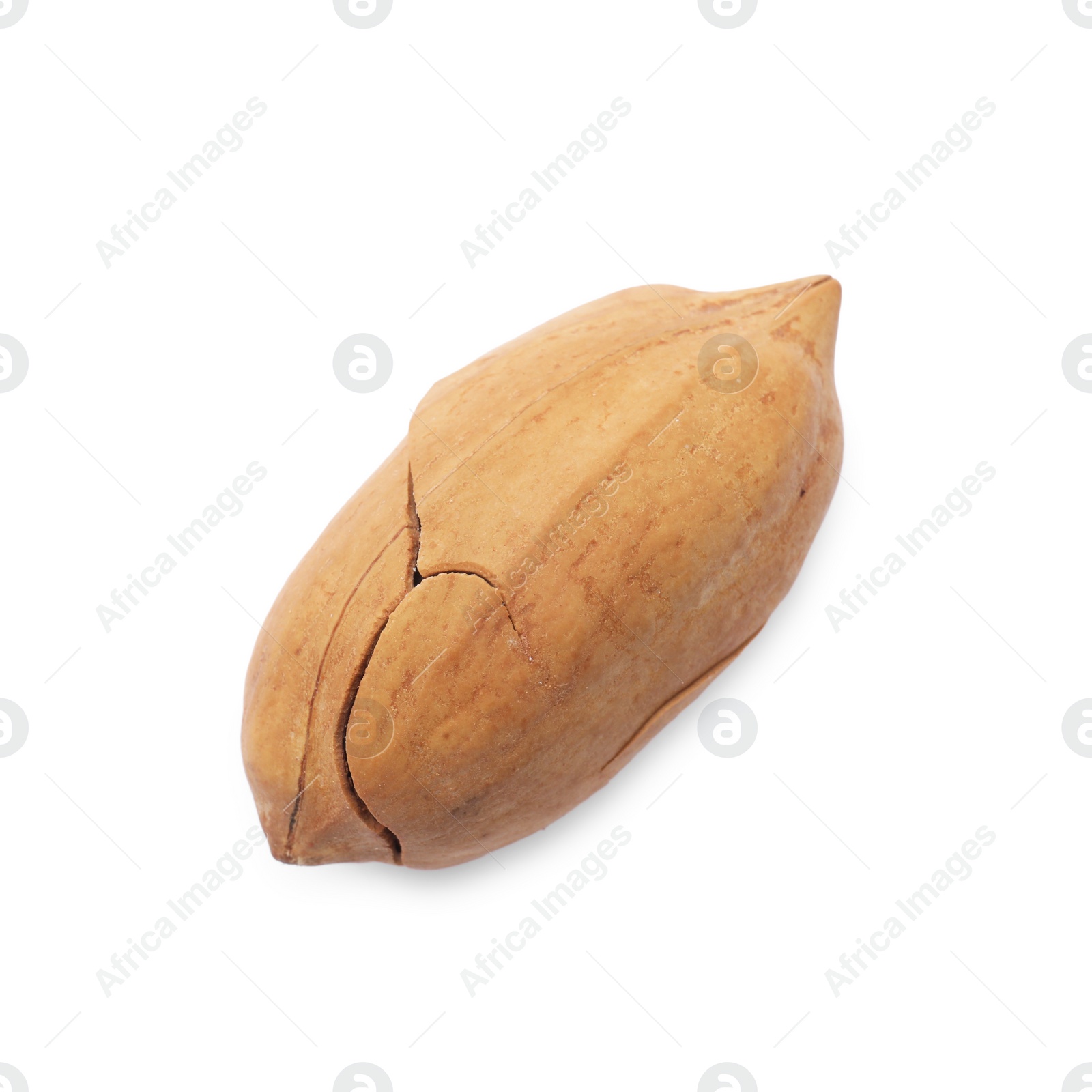 Photo of Tasty pecan nut with shell isolated on white, top view